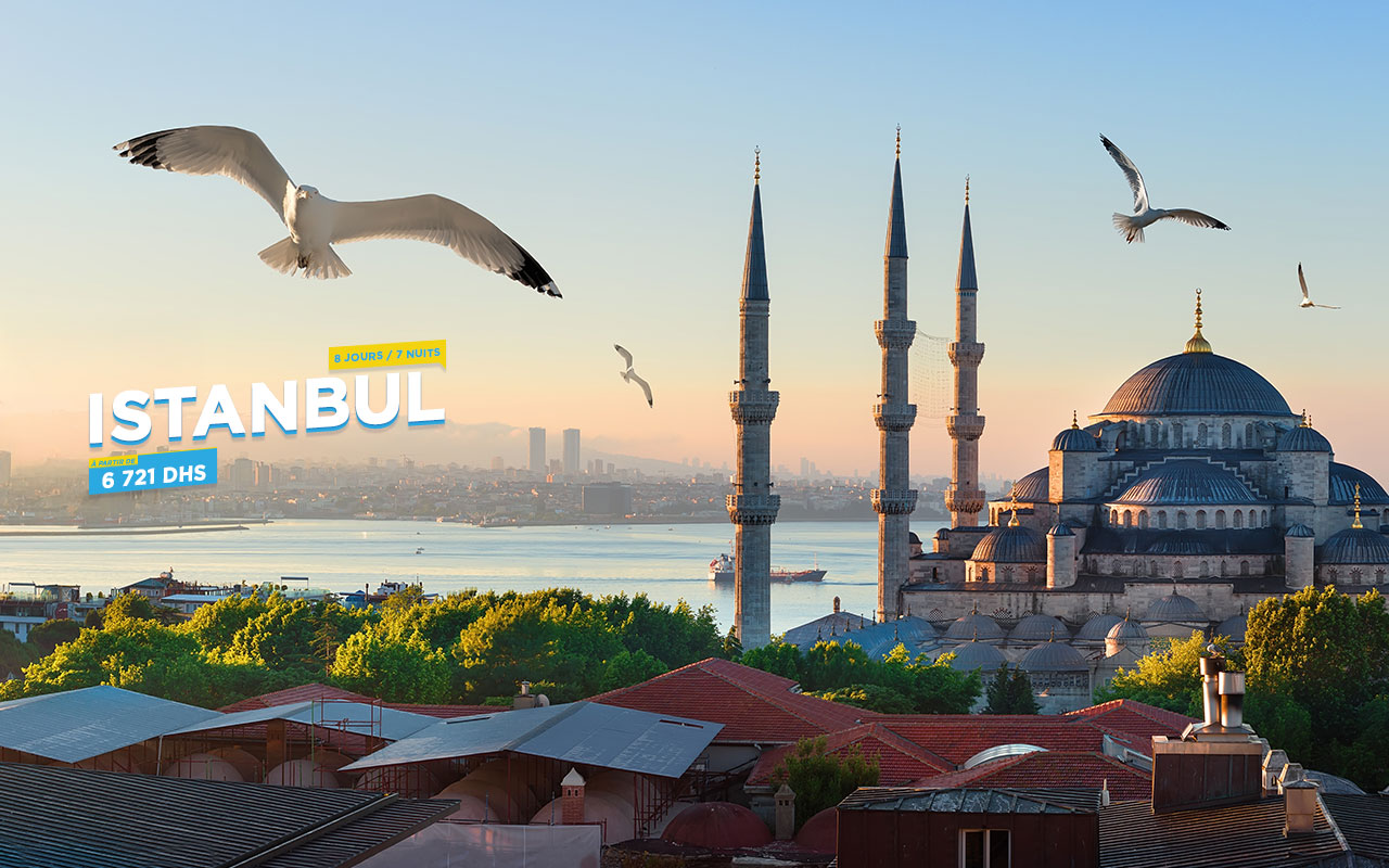 Istanbul banner